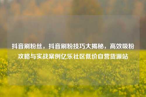 抖音刷粉丝	，抖音刷粉技巧大揭秘，高效吸粉攻略与实战案例亿乐社区低价自营货源站  第1张
