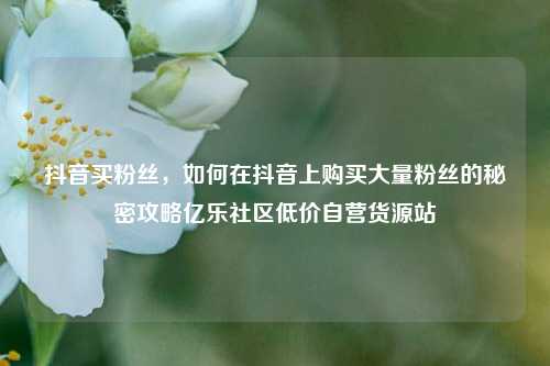 抖音买粉丝	，如何在抖音上购买大量粉丝的秘密攻略亿乐社区低价自营货源站  第1张