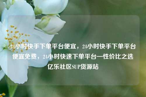 24小时快手下单平台便宜，24小时快手下单平台便宜免费，24小时快速下单平台—性价比之选亿乐社区SUP货源站  第1张