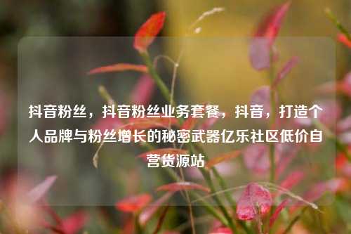 抖音粉丝，抖音粉丝业务套餐	，抖音，打造个人品牌与粉丝增长的秘密武器亿乐社区低价自营货源站  第1张
