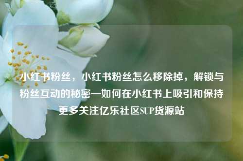 小红书粉丝，小红书粉丝怎么移除掉，解锁与粉丝互动的秘密—如何在小红书上吸引和保持更多关注亿乐社区SUP货源站  第1张
