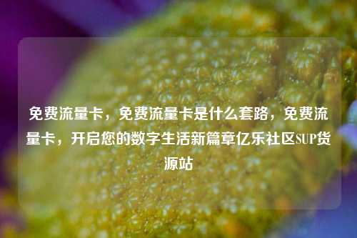 免费流量卡	，免费流量卡是什么套路，免费流量卡，开启您的数字生活新篇章亿乐社区SUP货源站  第1张