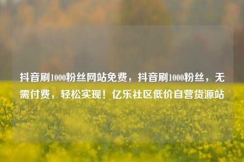 抖音刷1000粉丝网站免费，抖音刷1000粉丝，无需付费	，轻松实现！亿乐社区低价自营货源站  第1张