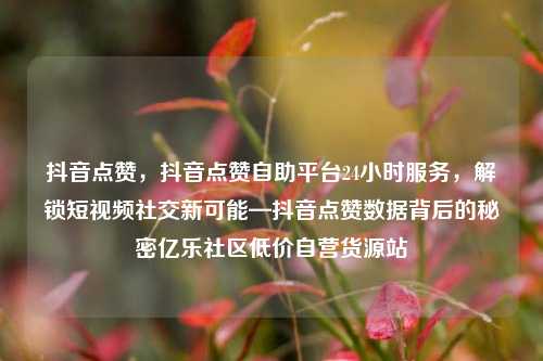 抖音点赞，抖音点赞自助平台24小时服务	，解锁短视频社交新可能—抖音点赞数据背后的秘密亿乐社区低价自营货源站  第1张
