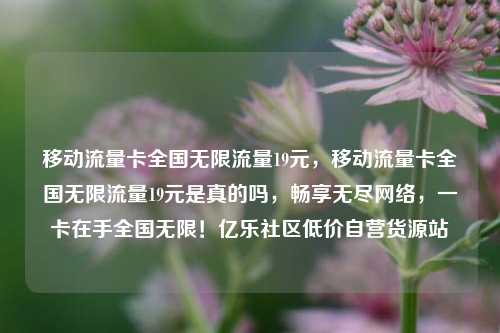 移动流量卡全国无限流量19元，移动流量卡全国无限流量19元是真的吗，畅享无尽网络	，一卡在手全国无限！亿乐社区低价自营货源站  第1张