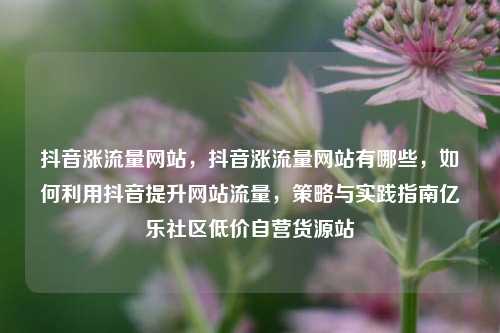 抖音涨流量网站，抖音涨流量网站有哪些，如何利用抖音提升网站流量，策略与实践指南亿乐社区低价自营货源站  第1张