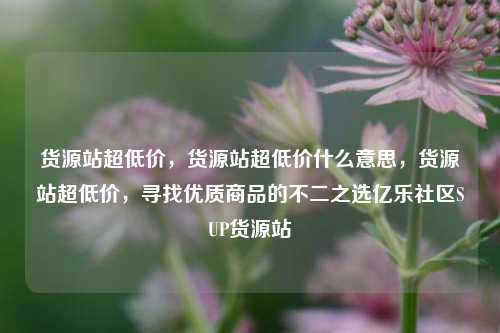 货源站超低价，货源站超低价什么意思	，货源站超低价，寻找优质商品的不二之选亿乐社区SUP货源站  第1张