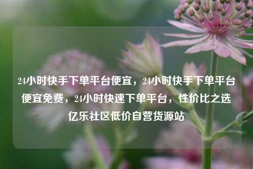 24小时快手下单平台便宜，24小时快手下单平台便宜免费	，24小时快速下单平台，性价比之选亿乐社区低价自营货源站  第1张