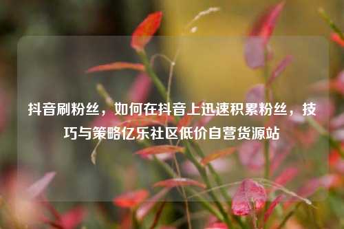 抖音刷粉丝，如何在抖音上迅速积累粉丝，技巧与策略亿乐社区低价自营货源站  第1张