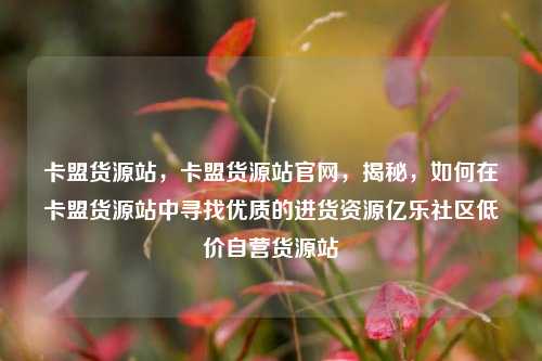 卡盟货源站，卡盟货源站官网	，揭秘，如何在卡盟货源站中寻找优质的进货资源亿乐社区低价自营货源站  第1张