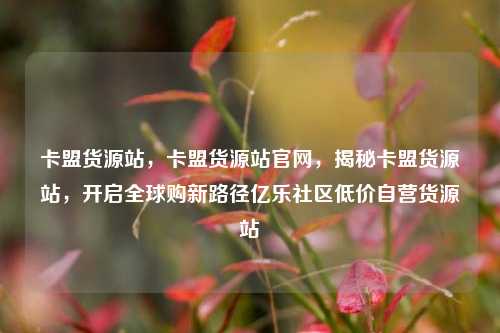 卡盟货源站	，卡盟货源站官网，揭秘卡盟货源站，开启全球购新路径亿乐社区低价自营货源站  第1张