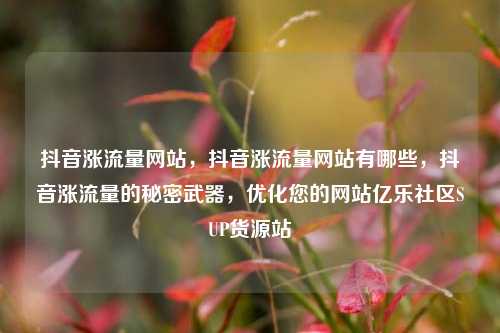 抖音涨流量网站，抖音涨流量网站有哪些	，抖音涨流量的秘密武器，优化您的网站亿乐社区SUP货源站  第1张