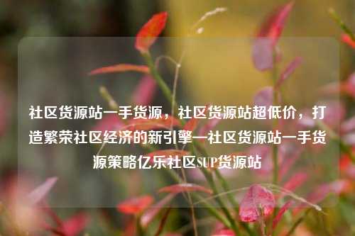 社区货源站一手货源，社区货源站超低价	，打造繁荣社区经济的新引擎—社区货源站一手货源策略亿乐社区SUP货源站  第1张