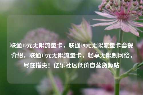 联通19元无限流量卡，联通19元无限流量卡套餐介绍，联通19元无限流量卡	，畅享无限制网络，尽在指尖！亿乐社区低价自营货源站  第1张