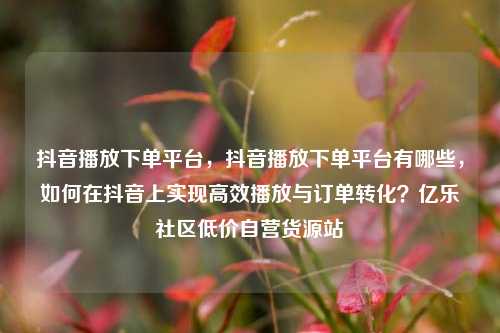 抖音播放下单平台	，抖音播放下单平台有哪些，如何在抖音上实现高效播放与订单转化？亿乐社区低价自营货源站  第1张
