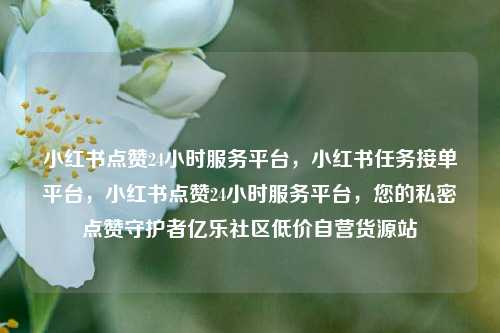 小红书点赞24小时服务平台，小红书任务接单平台	，小红书点赞24小时服务平台，您的私密点赞守护者亿乐社区低价自营货源站  第1张