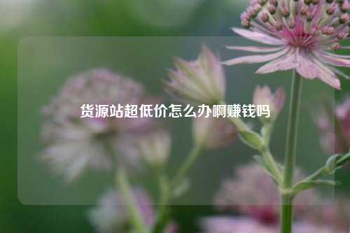 货源站超低价怎么办啊赚钱吗  第1张