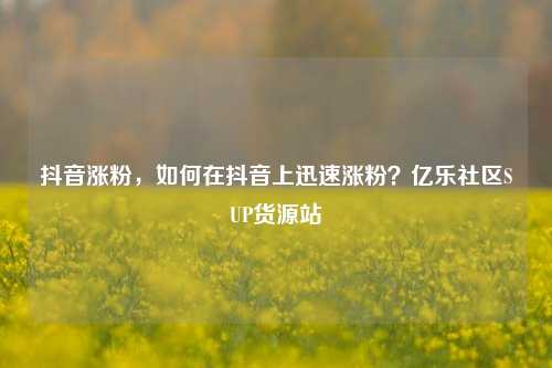 抖音涨粉，如何在抖音上迅速涨粉？亿乐社区SUP货源站  第1张