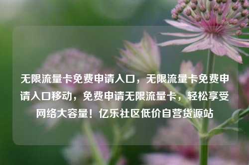 无限流量卡免费申请入口，无限流量卡免费申请入口移动，免费申请无限流量卡	，轻松享受网络大容量！亿乐社区低价自营货源站  第1张