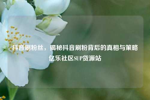 抖音刷粉丝，揭秘抖音刷粉背后的真相与策略亿乐社区SUP货源站  第1张