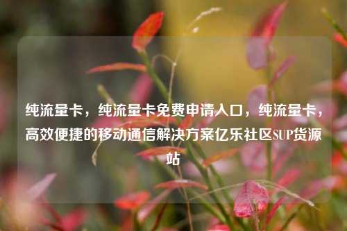 纯流量卡，纯流量卡免费申请入口	，纯流量卡，高效便捷的移动通信解决方案亿乐社区SUP货源站  第1张