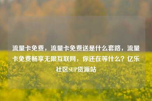 流量卡免费，流量卡免费送是什么套路	，流量卡免费畅享无限互联网，你还在等什么？亿乐社区SUP货源站  第1张