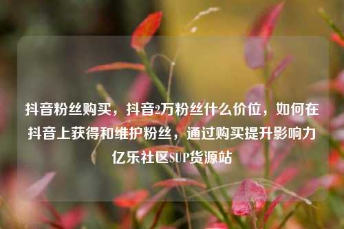 抖音粉丝购买，抖音2万粉丝什么价位，如何在抖音上获得和维护粉丝，通过购买提升影响力亿乐社区SUP货源站  第1张