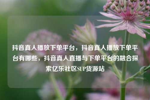 抖音真人播放下单平台	，抖音真人播放下单平台有哪些，抖音真人直播与下单平台的融合探索亿乐社区SUP货源站  第1张