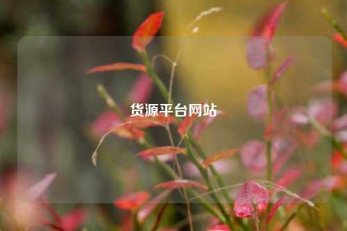 货源平台网站  第1张