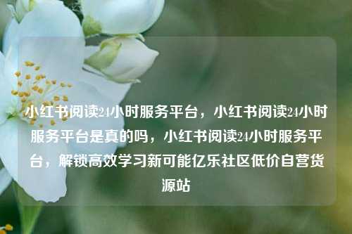 小红书阅读24小时服务平台，小红书阅读24小时服务平台是真的吗，小红书阅读24小时服务平台，解锁高效学习新可能亿乐社区低价自营货源站  第1张