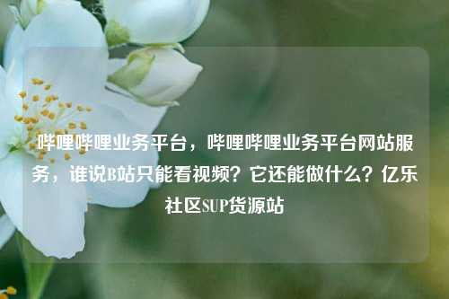 哔哩哔哩业务平台，哔哩哔哩业务平台网站服务，谁说B站只能看视频？它还能做什么？亿乐社区SUP货源站  第1张