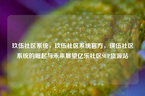 玖伍社区系统，玖伍社区系统官方，璜伍社区系统的崛起与未来展望亿乐社区SUP货源站  第1张