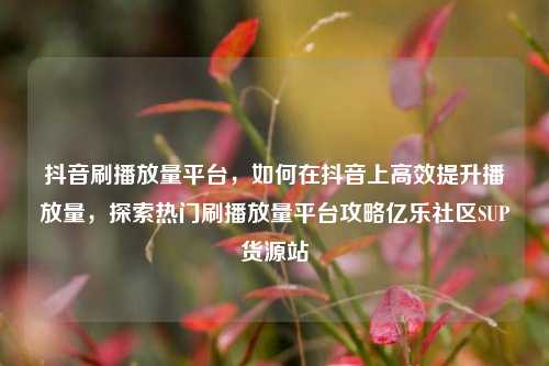 抖音刷播放量平台	，如何在抖音上高效提升播放量，探索热门刷播放量平台攻略亿乐社区SUP货源站  第1张