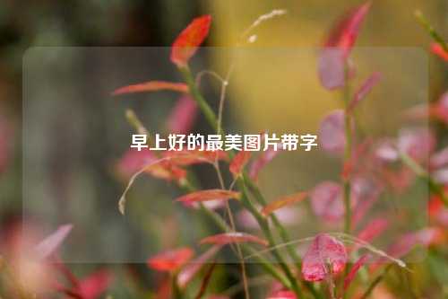 早上好的最美图片带字  第1张