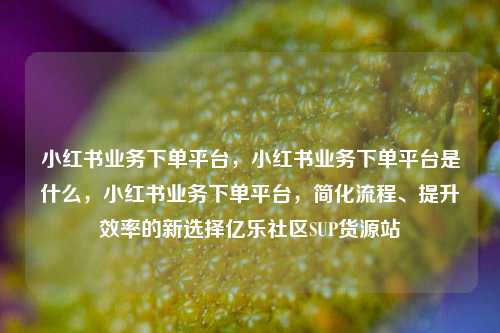 小红书业务下单平台，小红书业务下单平台是什么，小红书业务下单平台	，简化流程、提升效率的新选择亿乐社区SUP货源站  第1张