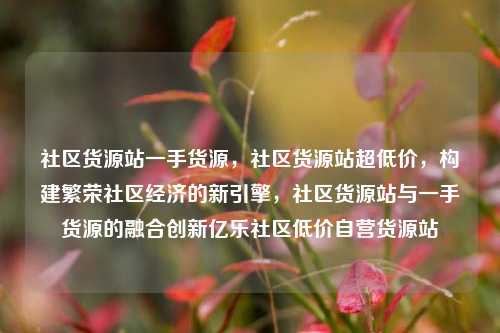 社区货源站一手货源，社区货源站超低价，构建繁荣社区经济的新引擎	，社区货源站与一手货源的融合创新亿乐社区低价自营货源站  第1张