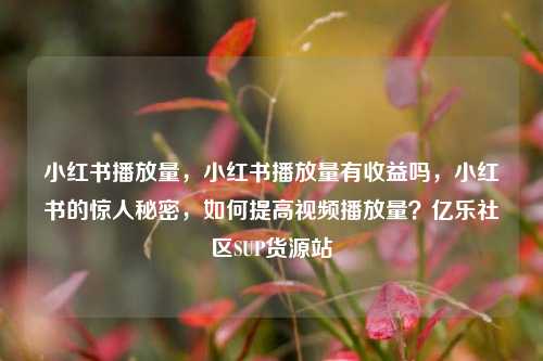 小红书播放量，小红书播放量有收益吗	，小红书的惊人秘密，如何提高视频播放量？亿乐社区SUP货源站  第1张