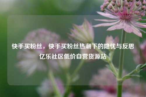 快手买粉丝，快手买粉丝热潮下的隐忧与反思亿乐社区低价自营货源站  第1张