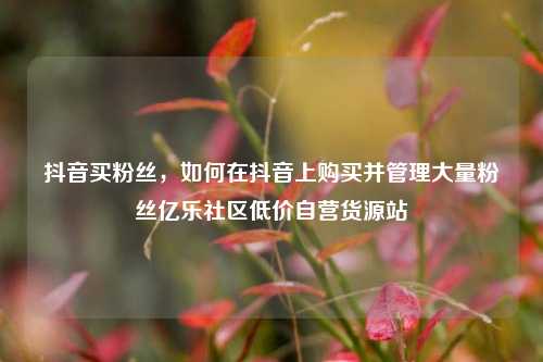 抖音买粉丝，如何在抖音上购买并管理大量粉丝亿乐社区低价自营货源站  第1张