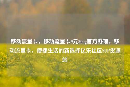移动流量卡	，移动流量卡9元300g官方办理，移动流量卡，便捷生活的新选择亿乐社区SUP货源站  第1张