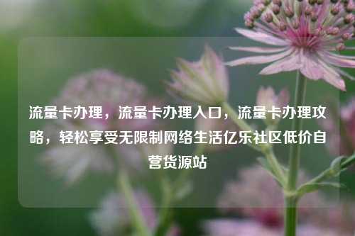 流量卡办理	，流量卡办理入口，流量卡办理攻略，轻松享受无限制网络生活亿乐社区低价自营货源站  第1张
