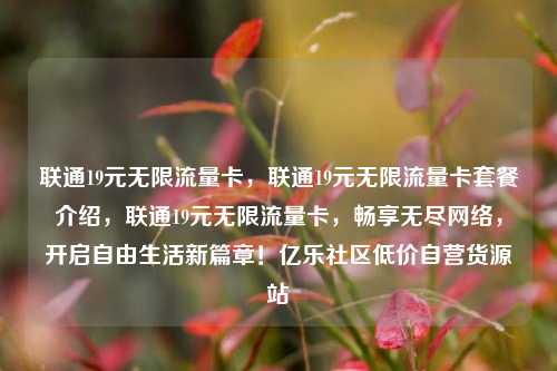 联通19元无限流量卡，联通19元无限流量卡套餐介绍，联通19元无限流量卡	，畅享无尽网络，开启自由生活新篇章！亿乐社区低价自营货源站  第1张