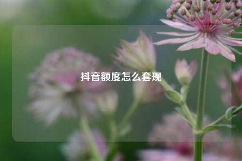 抖音额度怎么套现  第1张