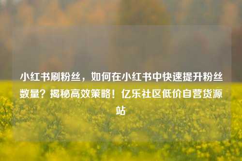 小红书刷粉丝	，如何在小红书中快速提升粉丝数量？揭秘高效策略！亿乐社区低价自营货源站  第1张