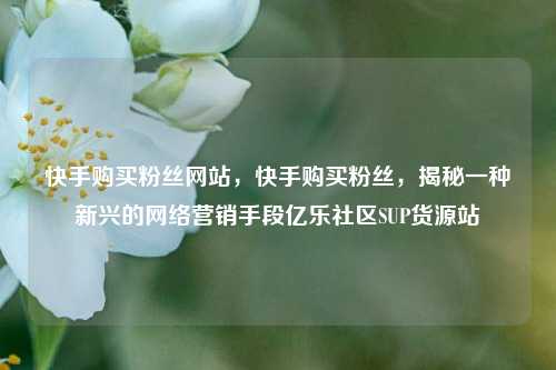 快手购买粉丝网站，快手购买粉丝	，揭秘一种新兴的网络营销手段亿乐社区SUP货源站  第1张