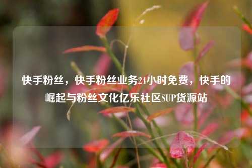 快手粉丝	，快手粉丝业务24小时免费，快手的崛起与粉丝文化亿乐社区SUP货源站  第1张