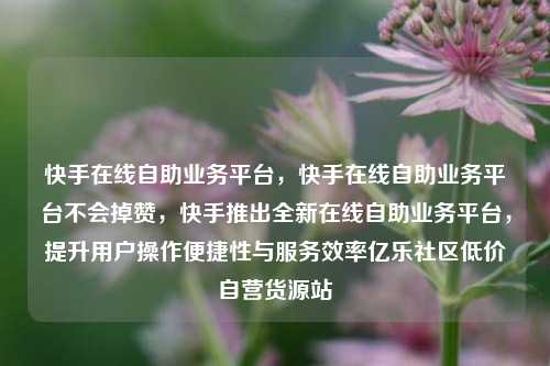 快手在线自助业务平台	，快手在线自助业务平台不会掉赞，快手推出全新在线自助业务平台，提升用户操作便捷性与服务效率亿乐社区低价自营货源站  第1张