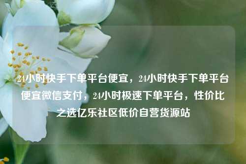 24小时快手下单平台便宜，24小时快手下单平台便宜微信支付，24小时极速下单平台	，性价比之选亿乐社区低价自营货源站  第1张