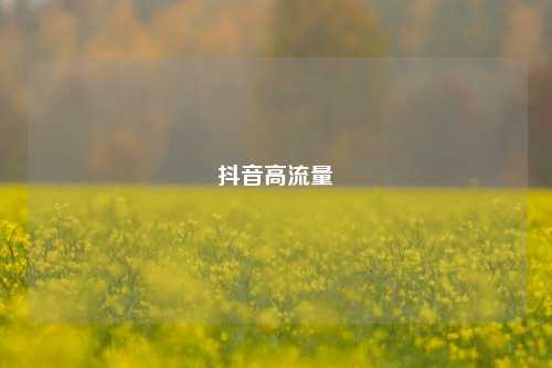 抖音高流量  第1张