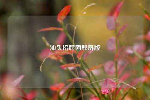 汕头招聘网触屏版  第1张